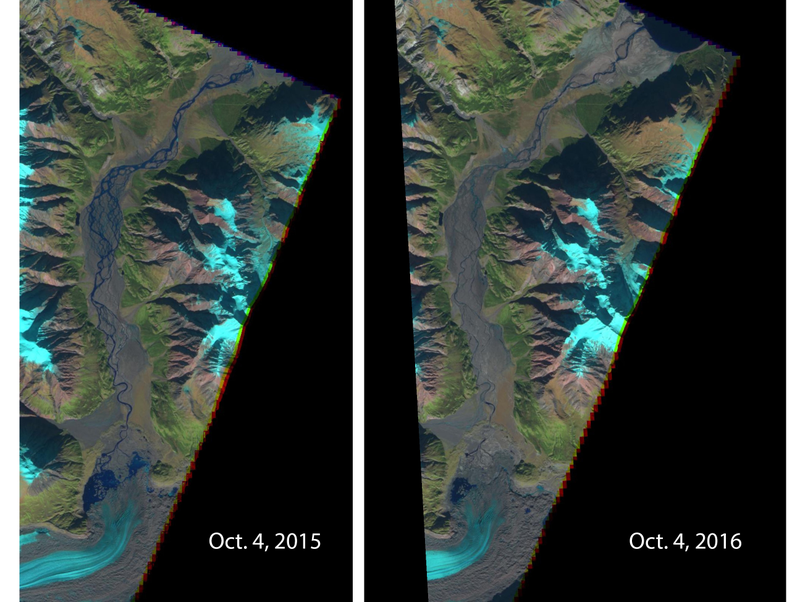 Satellite images show a dramatic drop in the Slims River’s flow. The receding toe of Kaskawulsh Glacier is seen at the bottom. Kluane Lake can be seen at the top of the 2016 image. Water now flows east and then south via the Kaskawulsh River. (Image: ESA)